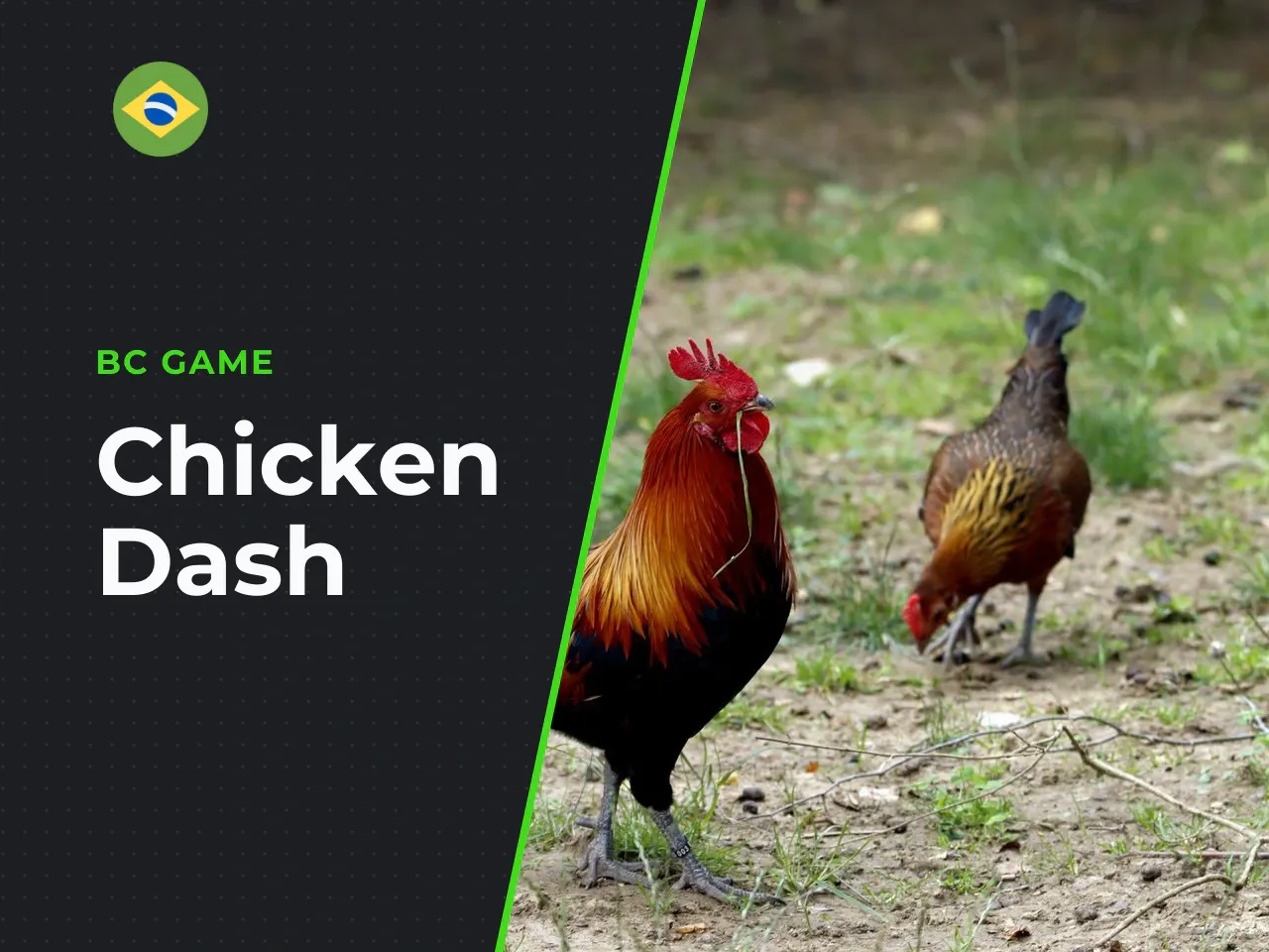 Chicken Dash WinGo