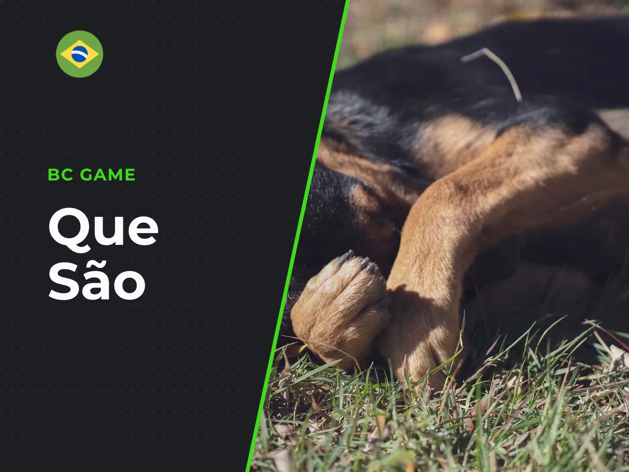 Códigos sem depósito Shitcodes o que