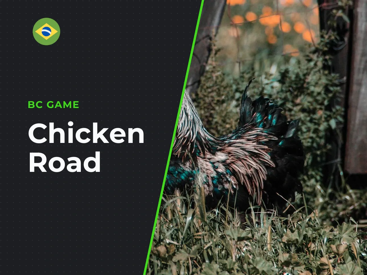 Situação em Portugal O Chicken Road